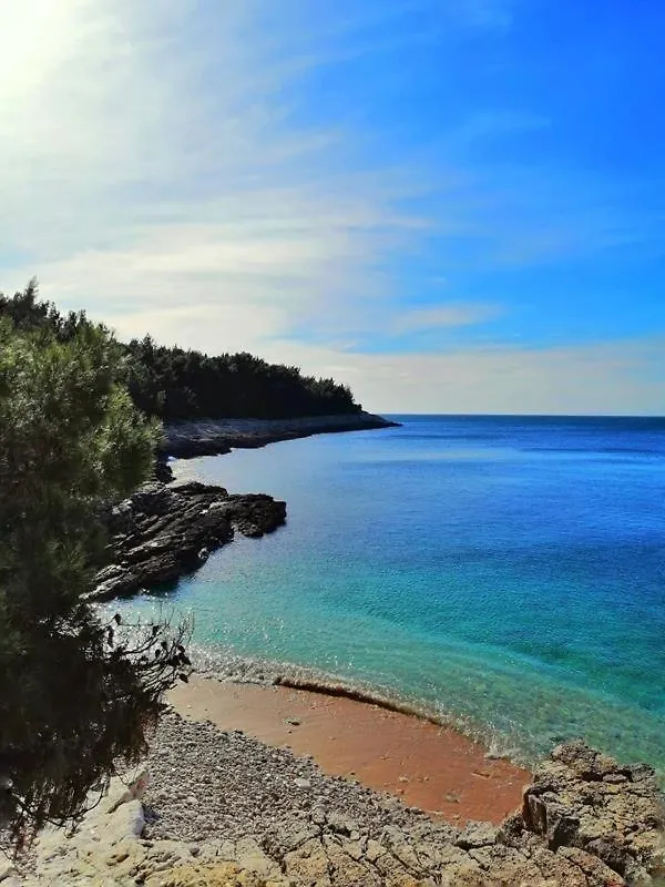 Studio Dama Blizina Amfiteatra I Bus Kolodvora ,Besplatan Privatni Parking,Self-Check- In Pula 0*,
